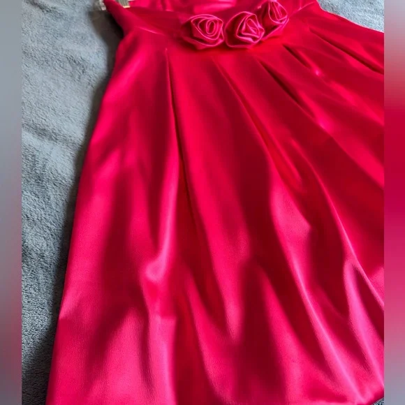 Gorgeous Barbie Pink Silk Bubble Dress with Rose Accents, size 9 - Picture 5 of 5